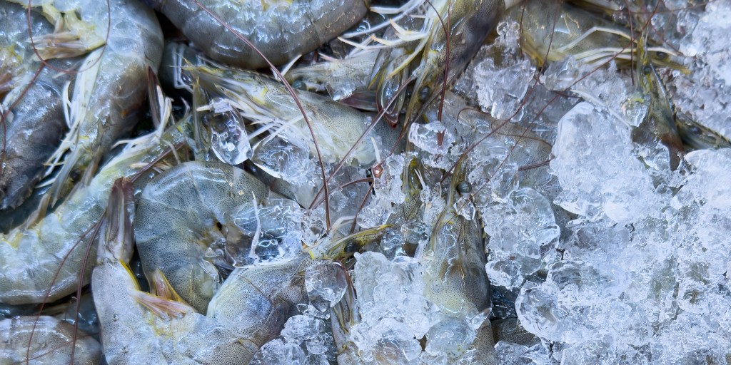 Frozen Shrimp Recall: Southwind Foods and Potential Radioactive Contamination
